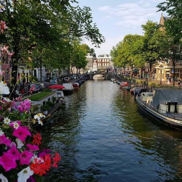 Amsterdam street-lined canal with flowers and personal watercraft