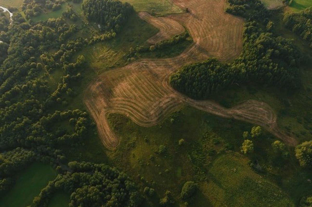 photo of Texas refinery’s ‘green’ jet fuel linked to Amazon deforestation image
