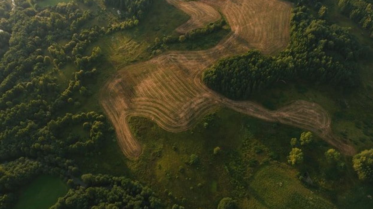 An aerial view of a cleared area of a forest