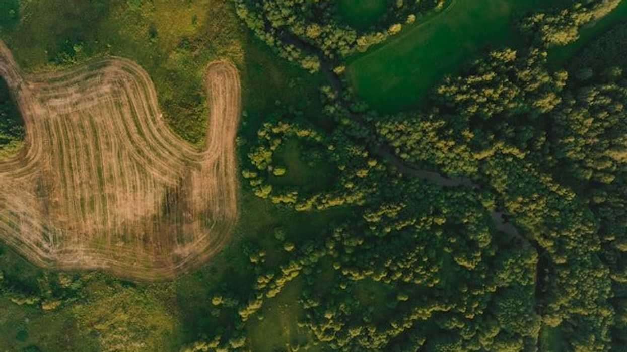 An aerial view of a forest with some sections deforested for farm fields.