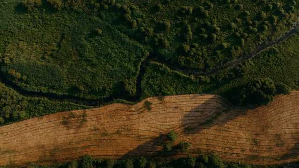 An aerial view of a forested environment with a slash of deforested fields running throughout
