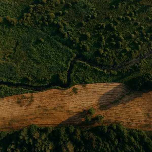 An aerial view of a forested environment with a slash of deforested fields running throughout