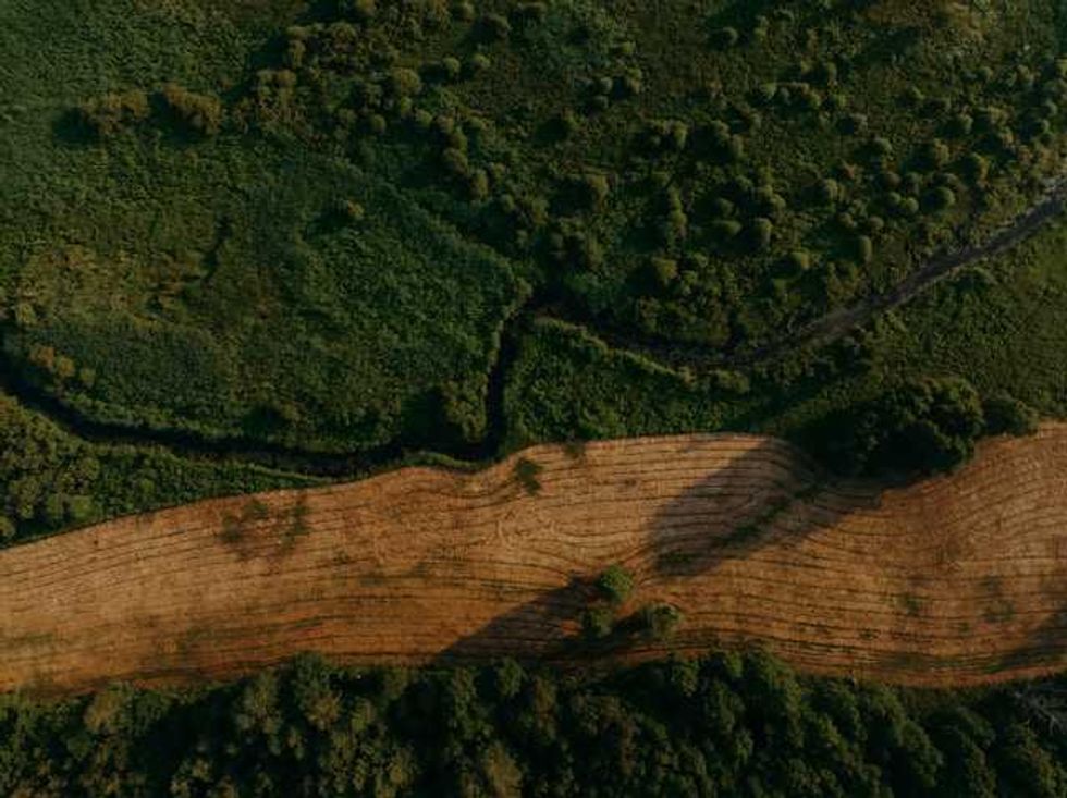New studies portray Amazon as surprisingly resilient, but tipping point looms