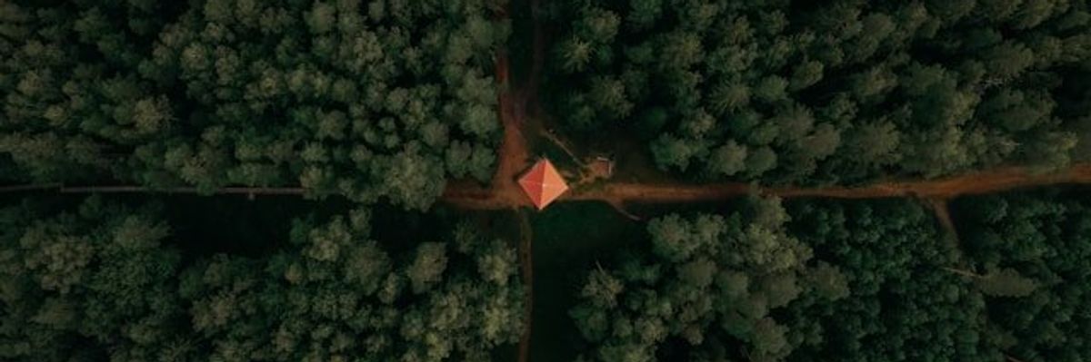 An aerial view of a lone hut at the crossroads of dirt roads in a forest.