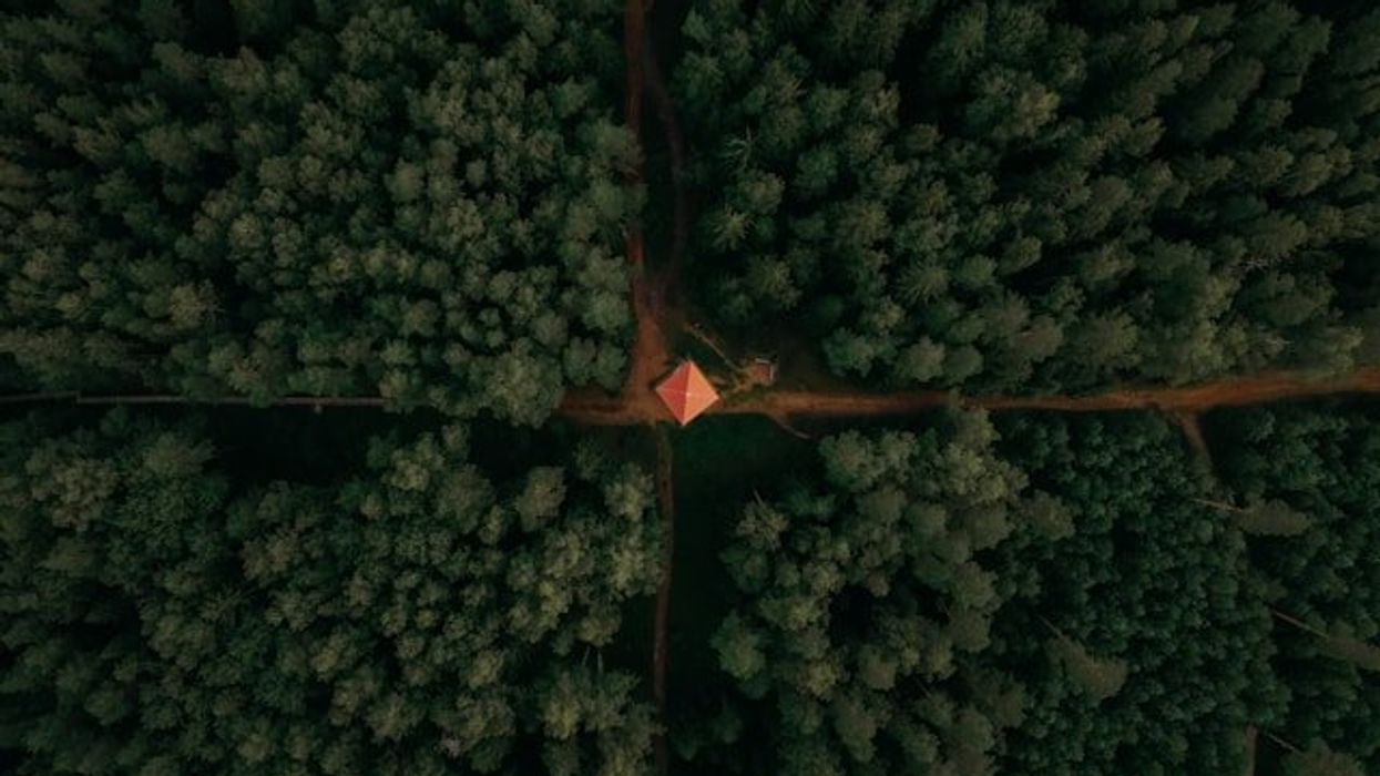 An aerial view of a lone hut at the crossroads of dirt roads in a forest.