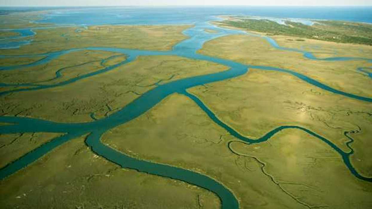 An aerial view of a river and several tributaries