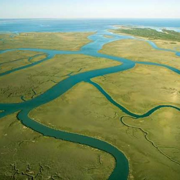 “Forever chemicals” pollute more than 80% of tested US waterways