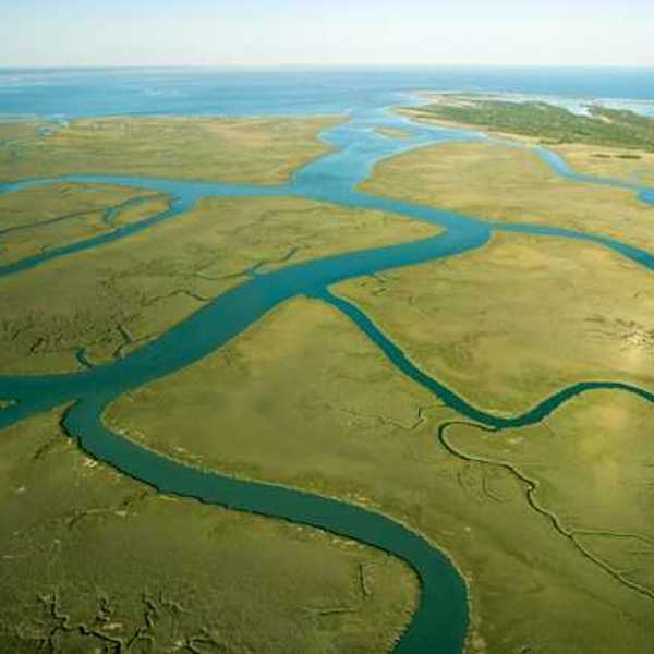 An aerial view of a river and several tributaries