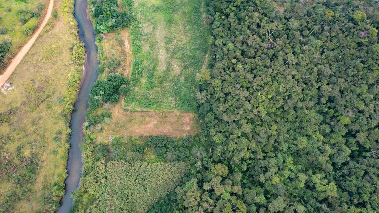 An aerial view of a river running through a lush green forest.