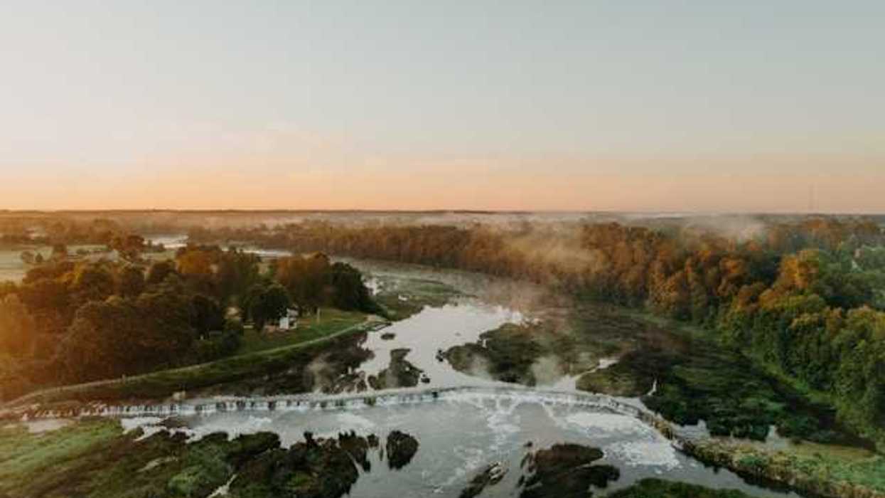 An aerial view of a river with bushes and trees lining it