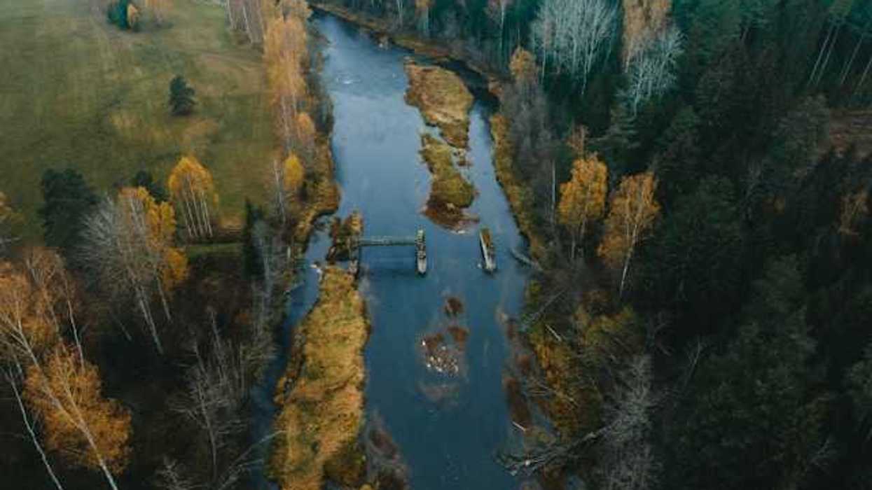 An aerial view of a river with trees that are green, yellow, and bare