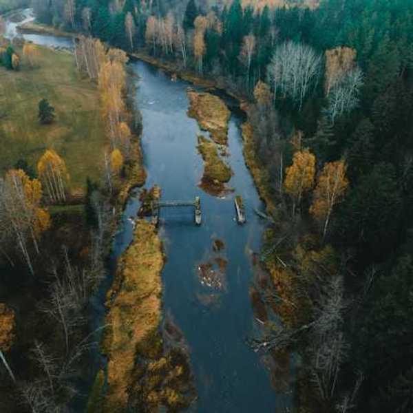 An aerial view of a river with trees that are green, yellow, and bare