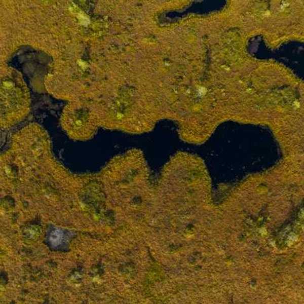 An aerial view of a wetlands area with green areas and a water source