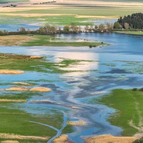 An aerial view of a wetlands area with green fields and trees in the background