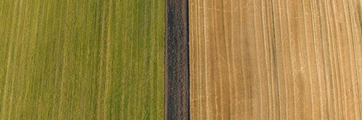 An aerial view of multicolored farm fields with green on the left, brown in the middle and tan on the right.