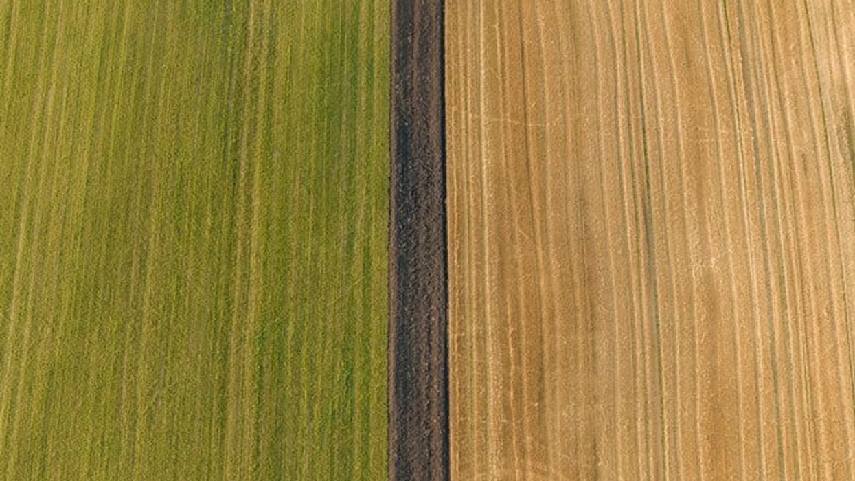 An aerial view of multicolored farm fields with green on the left, brown in the middle and tan on the right.