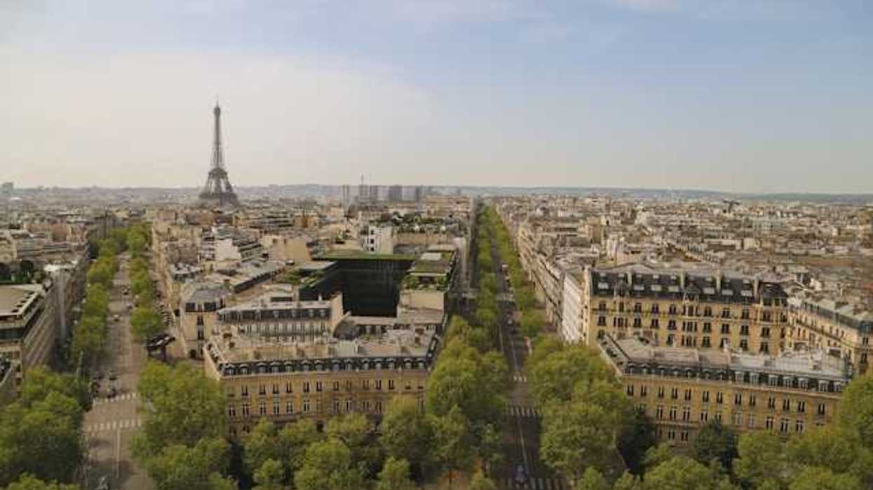 An aerial view of the streets of Paris lined with green trees