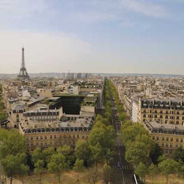 An aerial view of the streets of Paris lined with green trees