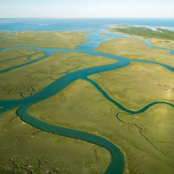 An aerial view of wetlands and a bay