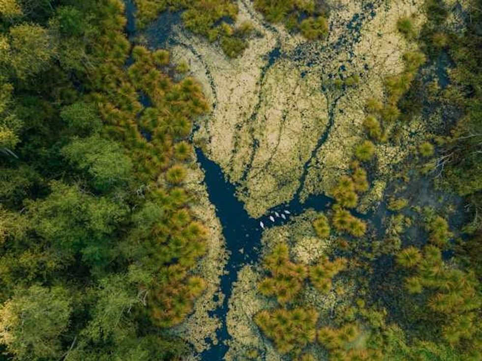 Forget border walls. Restored wetlands are a new national defense