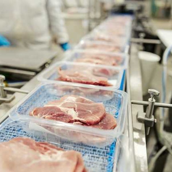 EU packaging rules take effect with limits on 'forever chemicals', plastics curbs