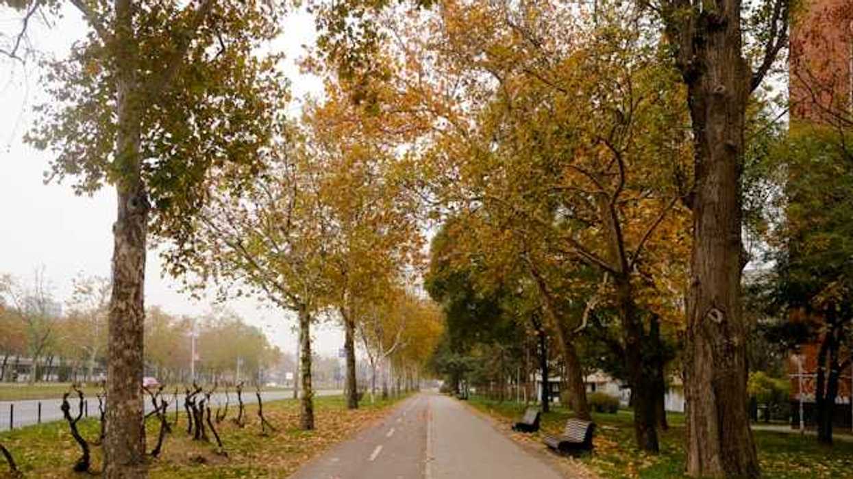 An city park with a bike lane and walking trail lined with fall-colored trees