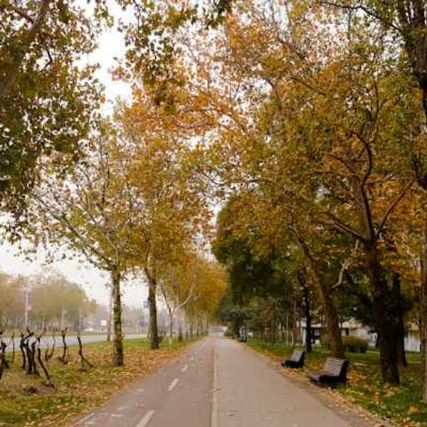 An city park with a bike lane and walking trail lined with fall-colored trees