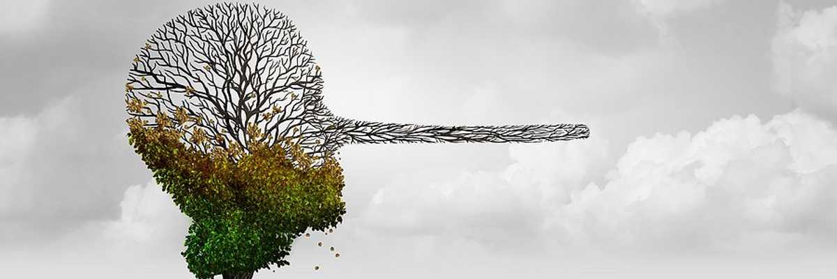 An illustration of a dying tree in the shape of a head with a very long nose.