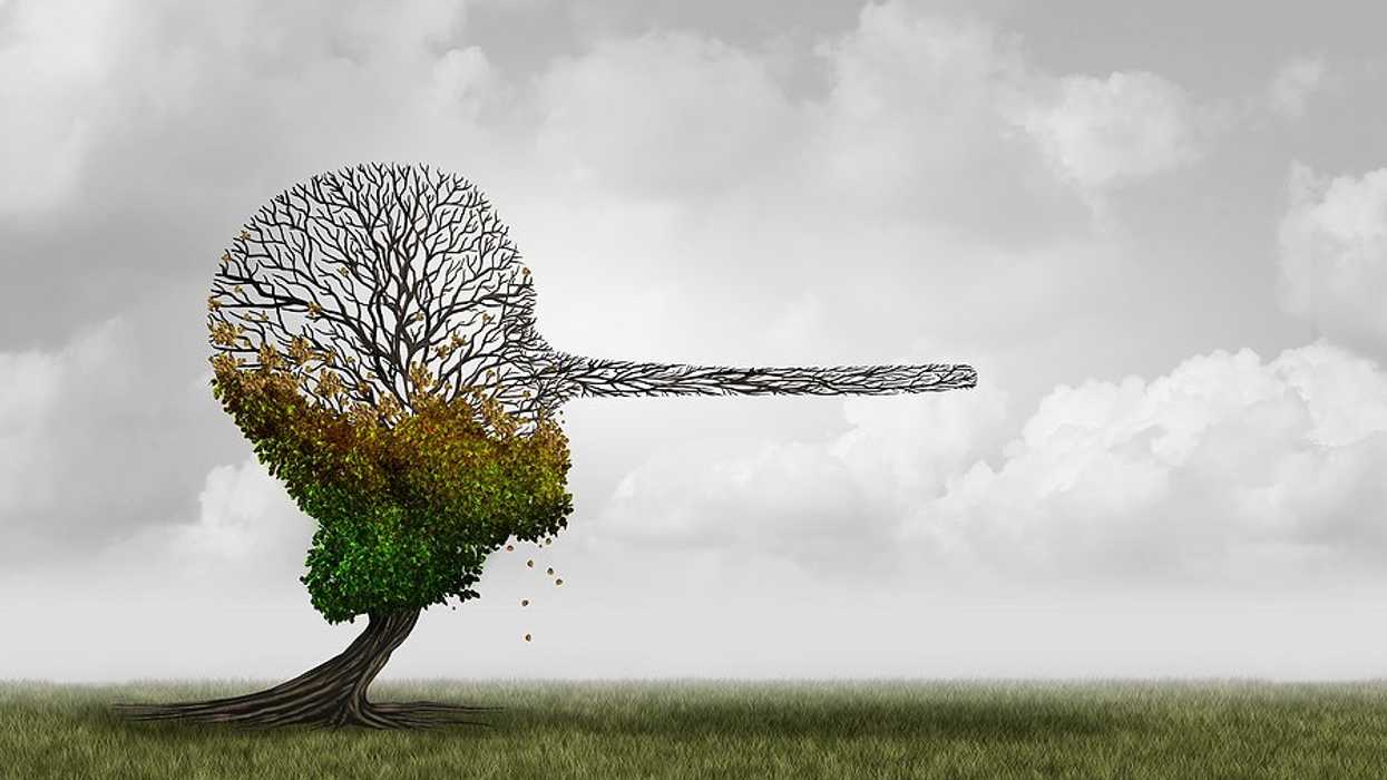 An illustration of a dying tree in the shape of a head with a very long nose.