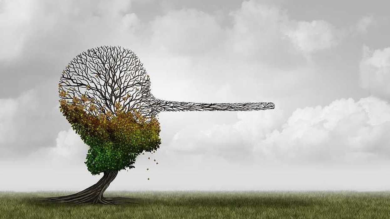 An illustration of a dying tree with a long pinnochio nose