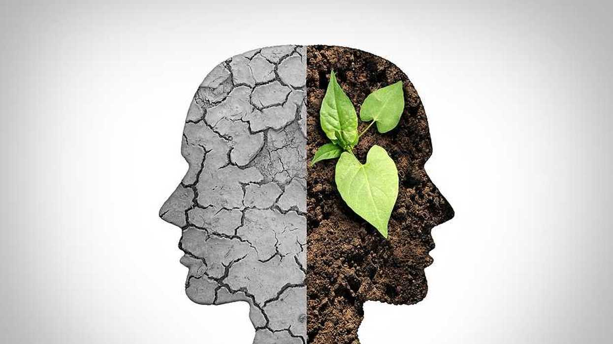 An illustration of a head with cracked earth on one side and soil and greenery on the other