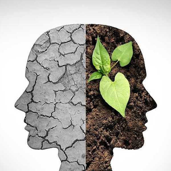 An illustration of a head with cracked earth on one side and soil and greenery on the other