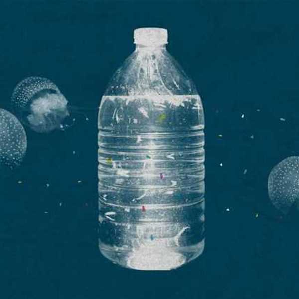 An illustration of a plastic water bottle floating upright among jellyfish