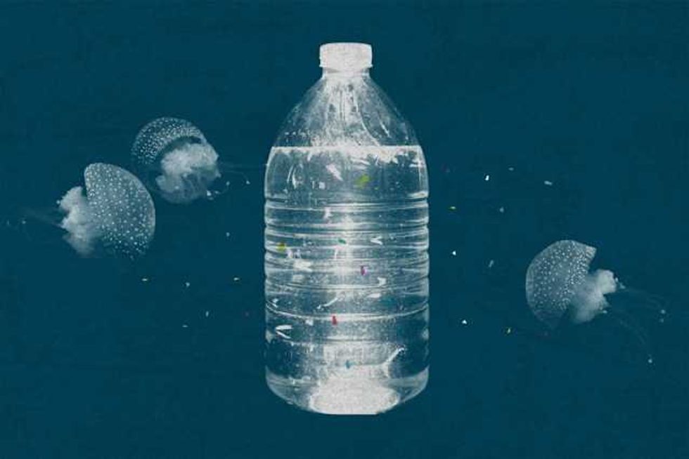 Image of What share of plastic waste ends up in the ocean?