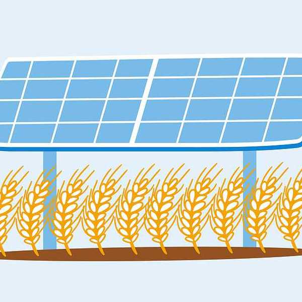 An illustration of a solar panel standing over a wheat field