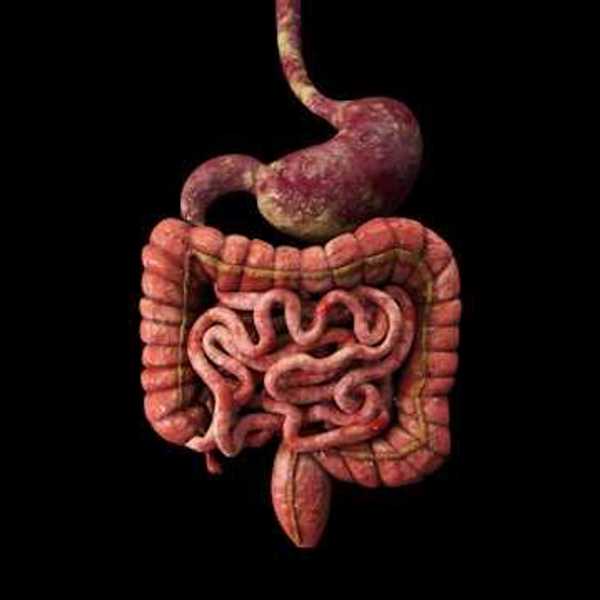 An illustration of a stomach and intestines against a black background