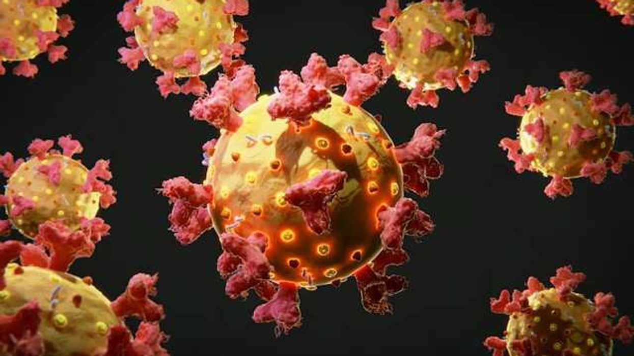 An illustration of bacteria