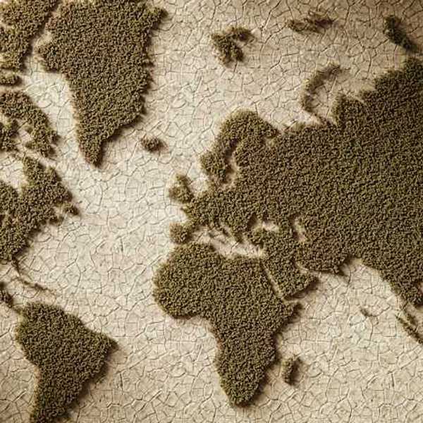 An illustration of continents of the earth with dry land where the oceans should be