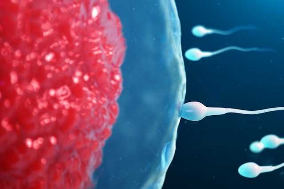 Can microplastics affect men’s fertility?