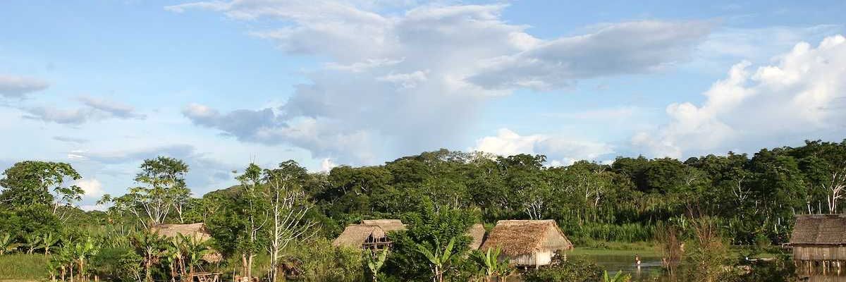 Suriname tribe works to protect forests amid illegal cutting…