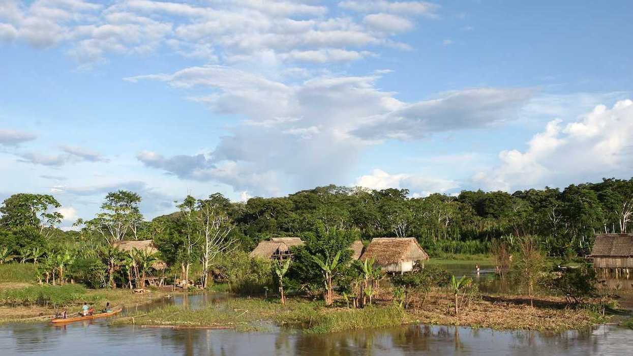 An indigenous village in the Amazon river basin