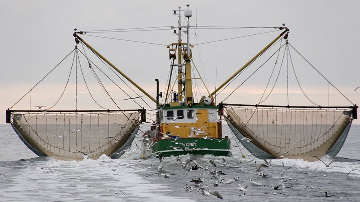 An ocean trawler with big nets to catch fish.