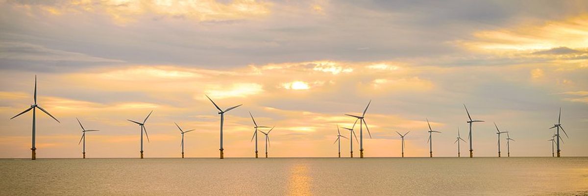 An offshore wind farm viewed from the shore during sunset.