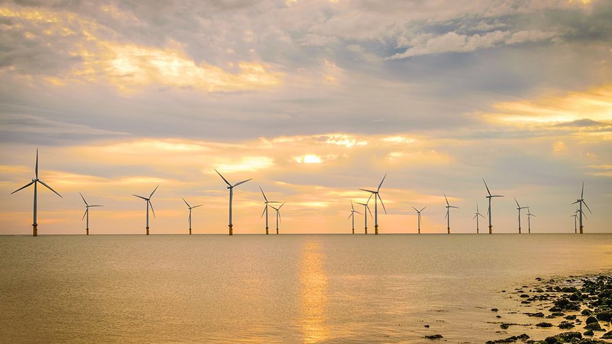 An offshore wind farm viewed from the shore during sunset.