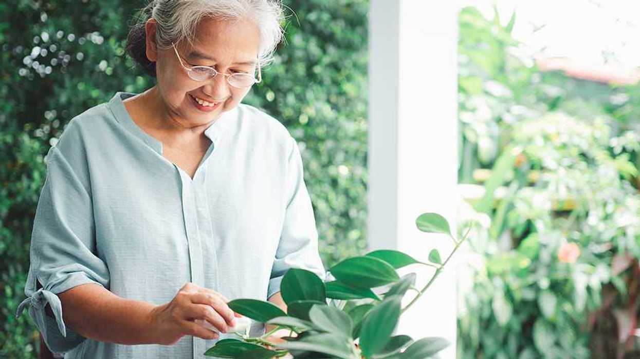 An older Asian woman looking at plants on her patio