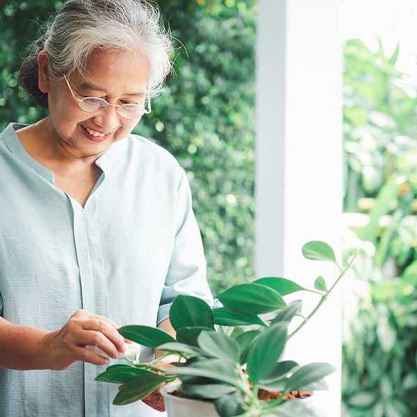 An older Asian woman looking at plants on her patio