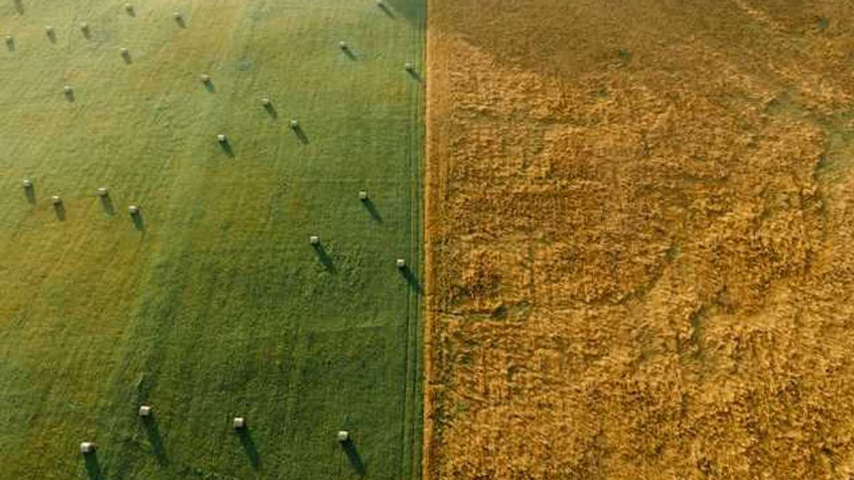 An overhead view of a green farm field next to a dry brown farm field