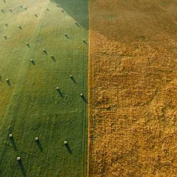 An overhead view of a green farm field next to a dry brown farm field