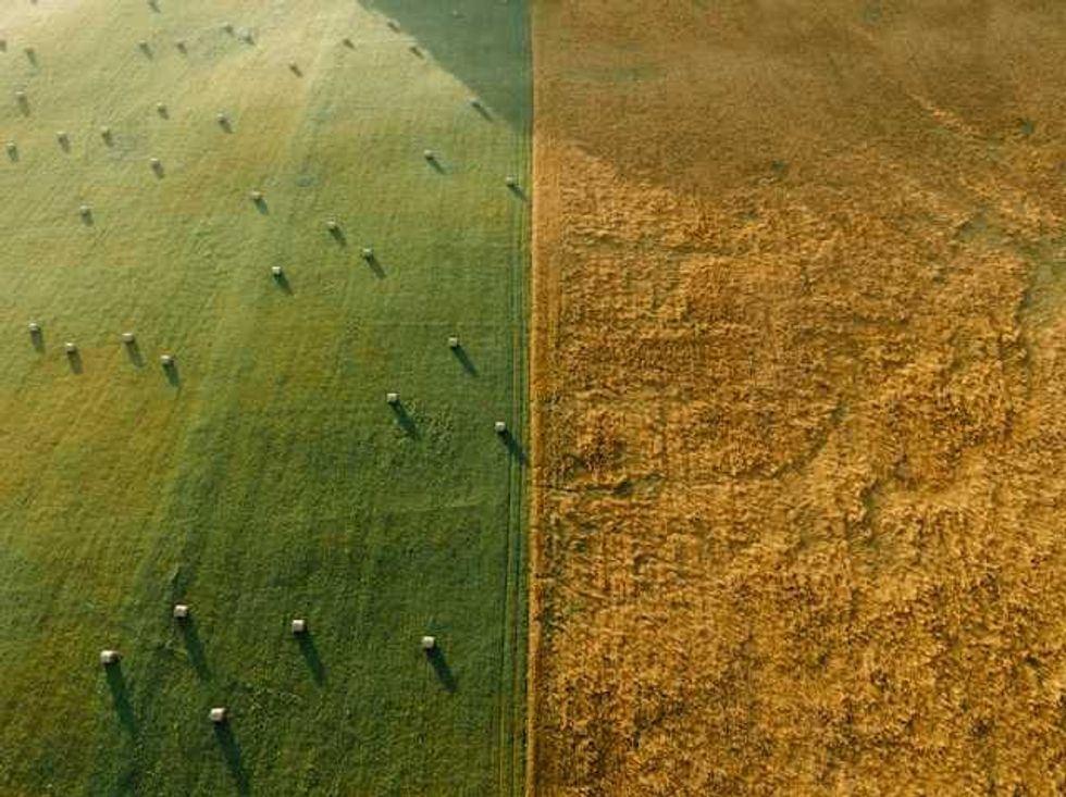 Iowa faces reckoning over water quality, cancer rates in midterms