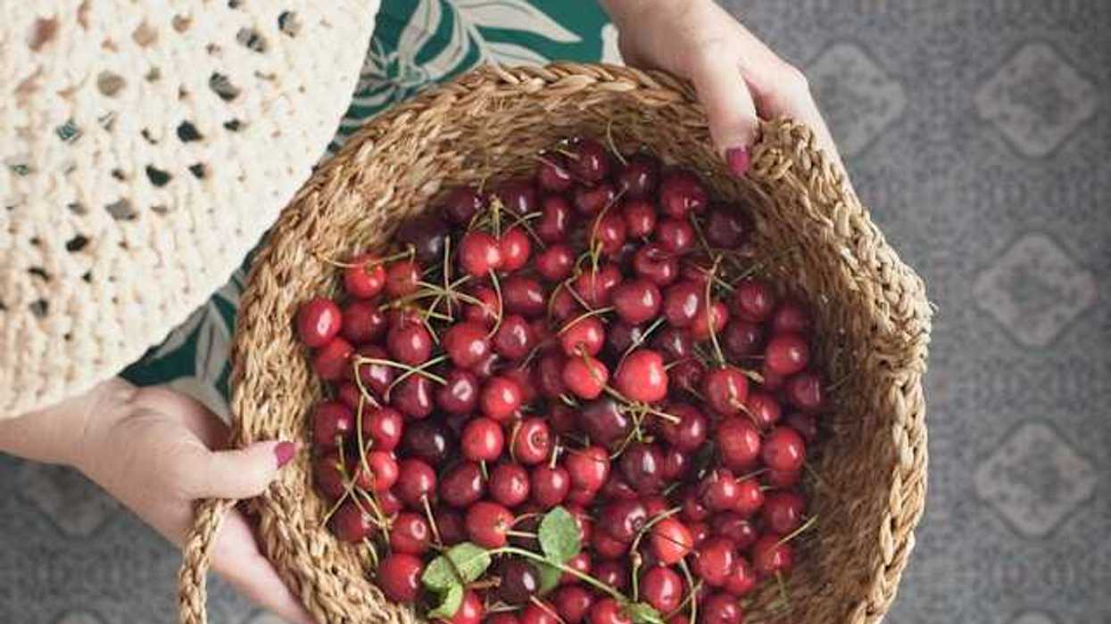 An overhead view of a person holding a basket of red cherries